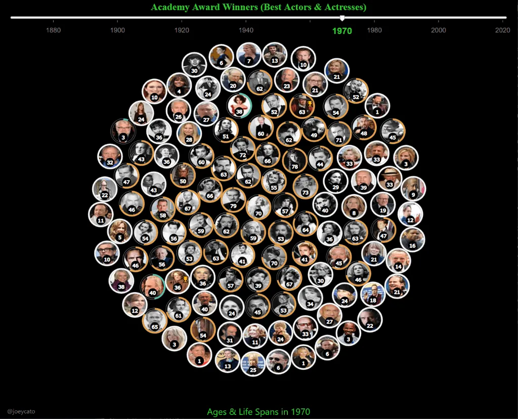 Circle of Life project preview